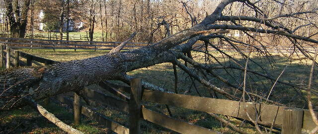 Hurricane Sandy Damage